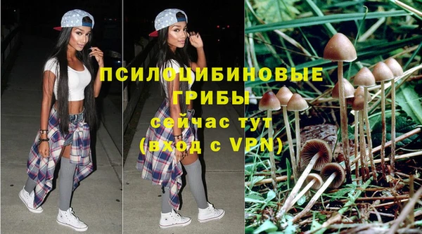 ECSTASY Балабаново