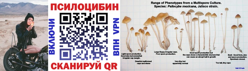 Псилоцибиновые грибы GOLDEN TEACHER  маркетплейс наркотические препараты  Спас-Деменск 